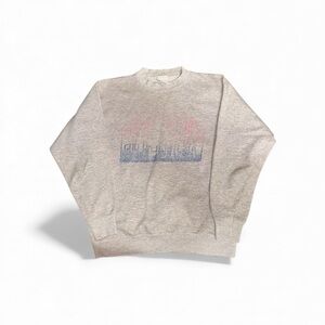 Vintage Tultex Boston Skyline Mens Size Medium Long Sleeve Sweatshirt Gray